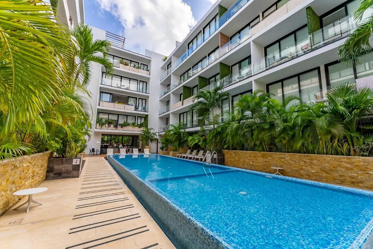 The City Playa Playa del Carmen 0*,